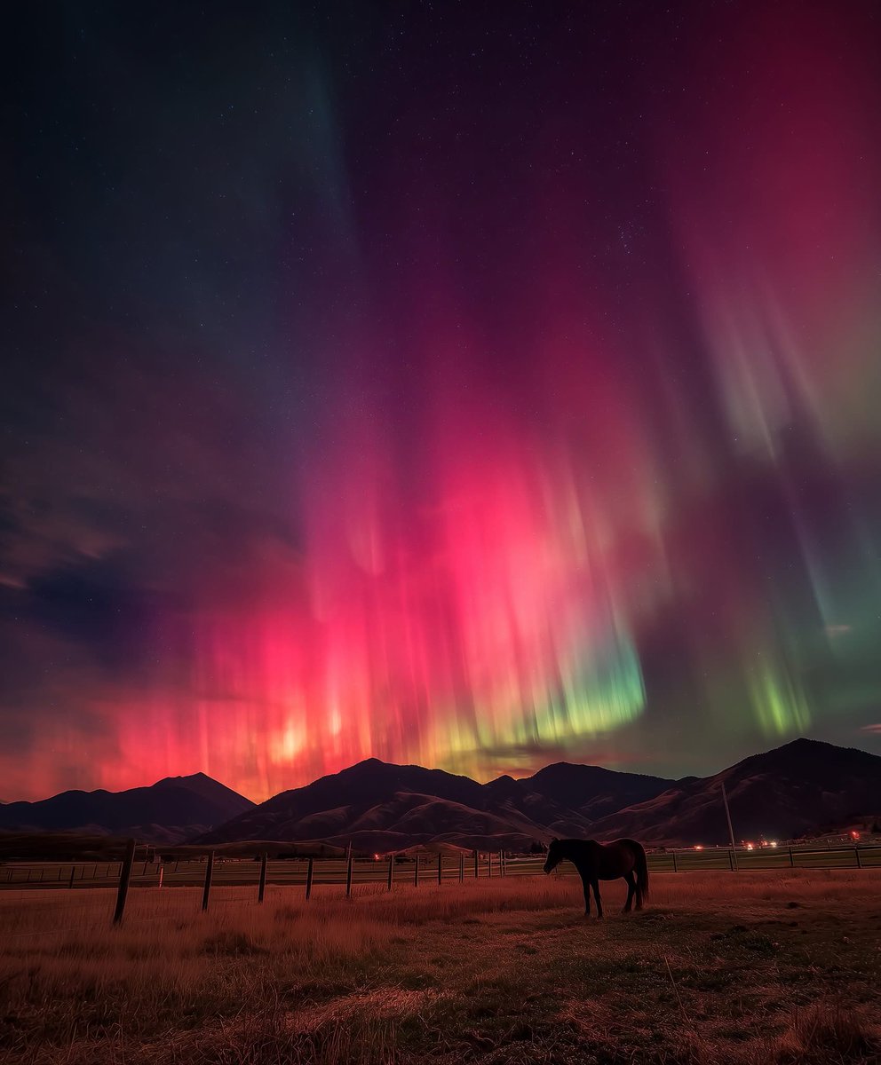 forallcurious's tweet image. 🚨: Extreme Auroras seen tonight over Montana. 🐴

Go out and look up tonight. It is expected to be even more bright and vivid tonight.

Red auroras occur about 125–250 miles high, green about 60–90 miles, and pink around 55–75 miles above Earth’s surface.