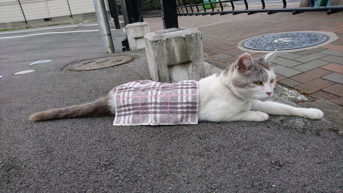 BURBERRYタマちゃん その肆