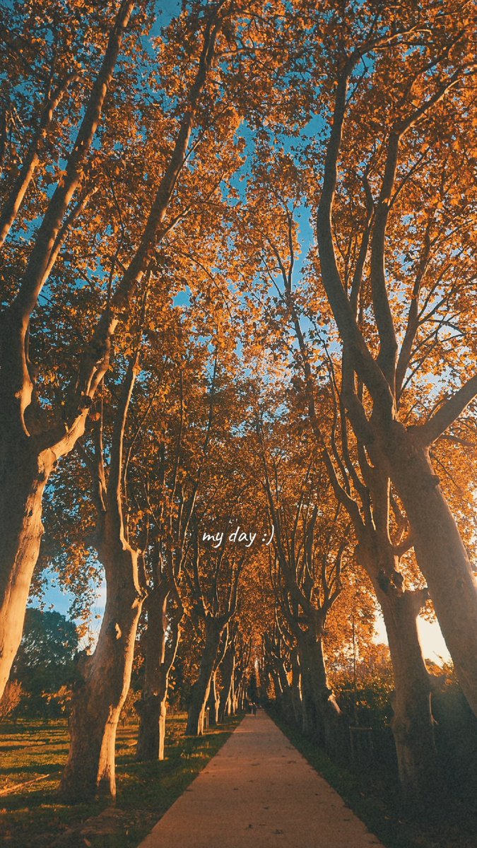 MoMoMrMusic's tweet photo. Sur un fond de "autumn leaves" de chris brown 🎶 #AutumnVibes https://t.co/gMvPJd3Vrf
