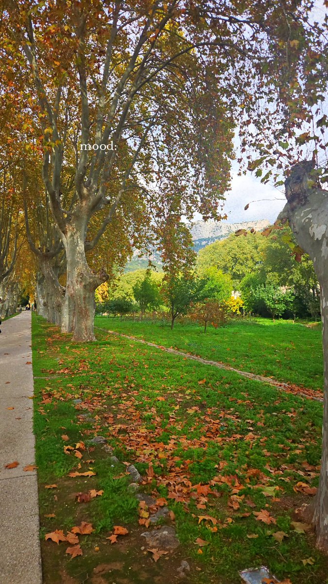 MoMoMrMusic's tweet photo. Sur un fond de "autumn leaves" de chris brown 🎶 #AutumnVibes https://t.co/gMvPJd3Vrf
