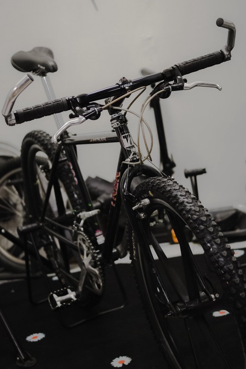 Official tweet media