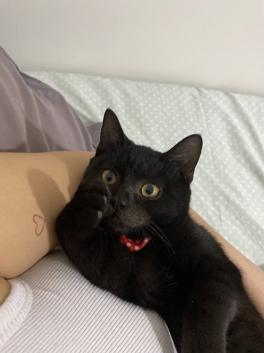 Peçeteleri parçaladıktan sonra gelen kendini sevdirme perileri kdkdkksks