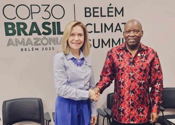 H.E Moses Vilakati tweet media