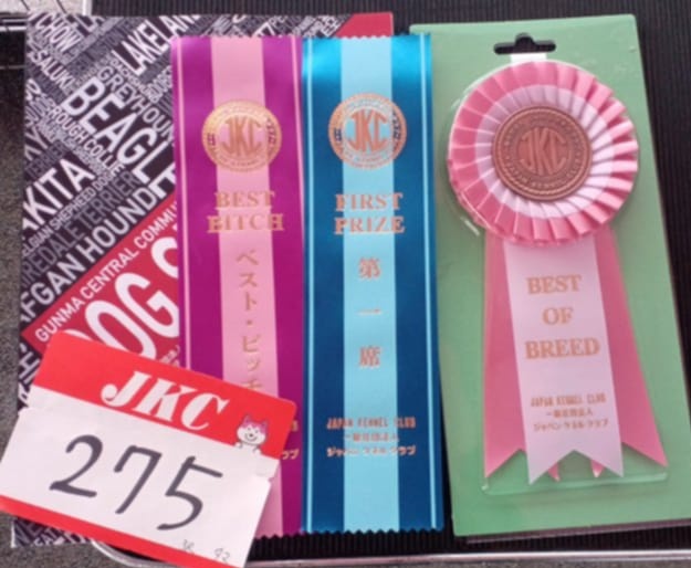 土日のショー
両日ともにBOB
ベストオブブリード✨
嬉しい