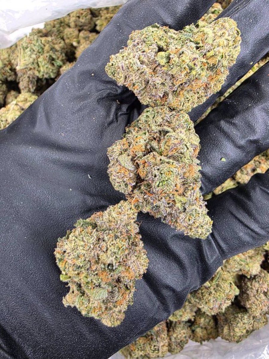 Teresa Stoner tweet media