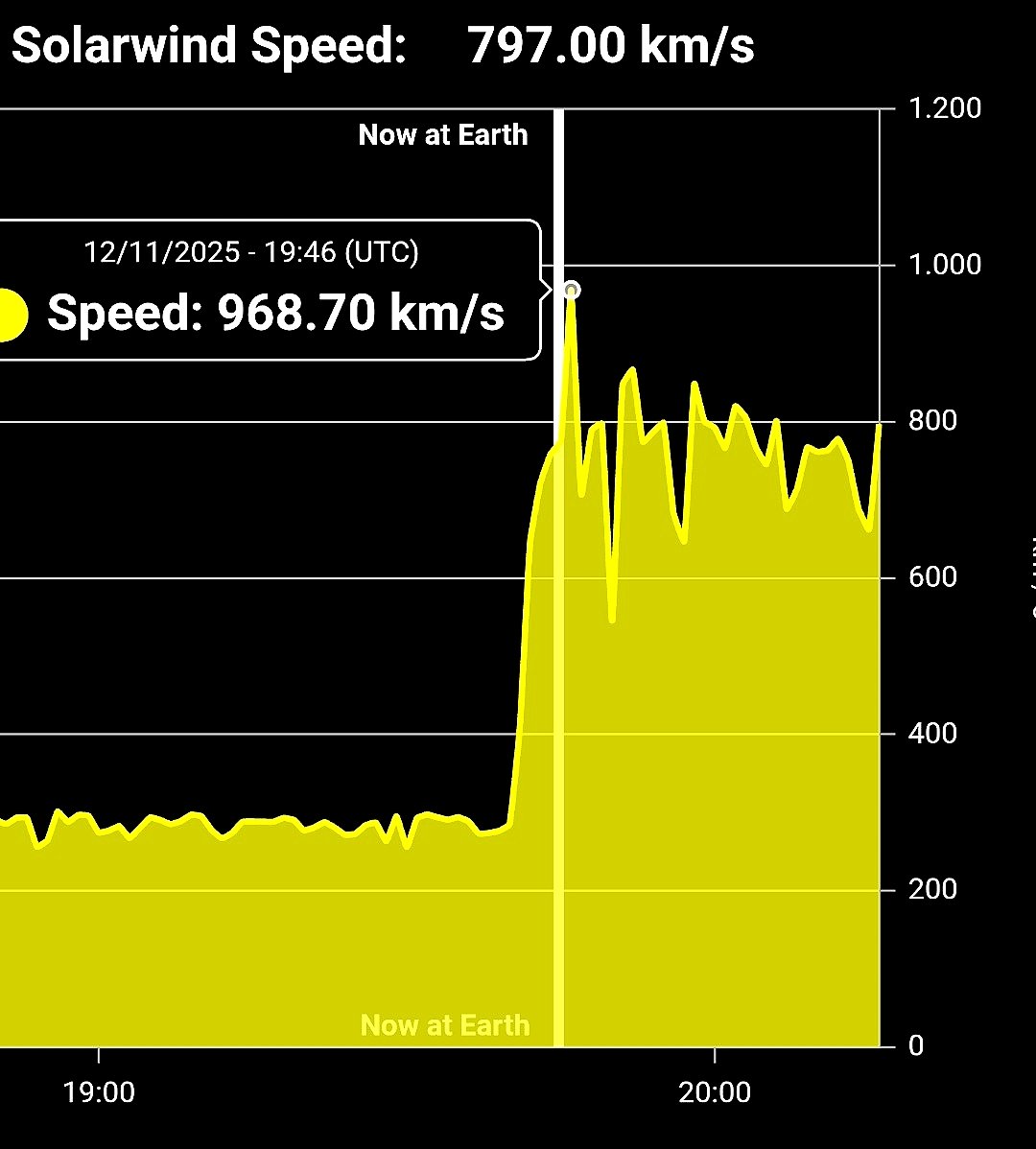 Wouter van Bernebeek tweet media