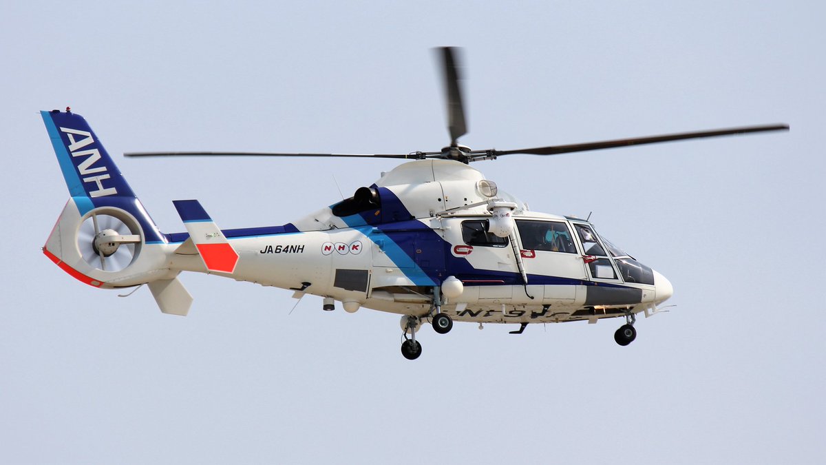 #ドーファンを愛でる会