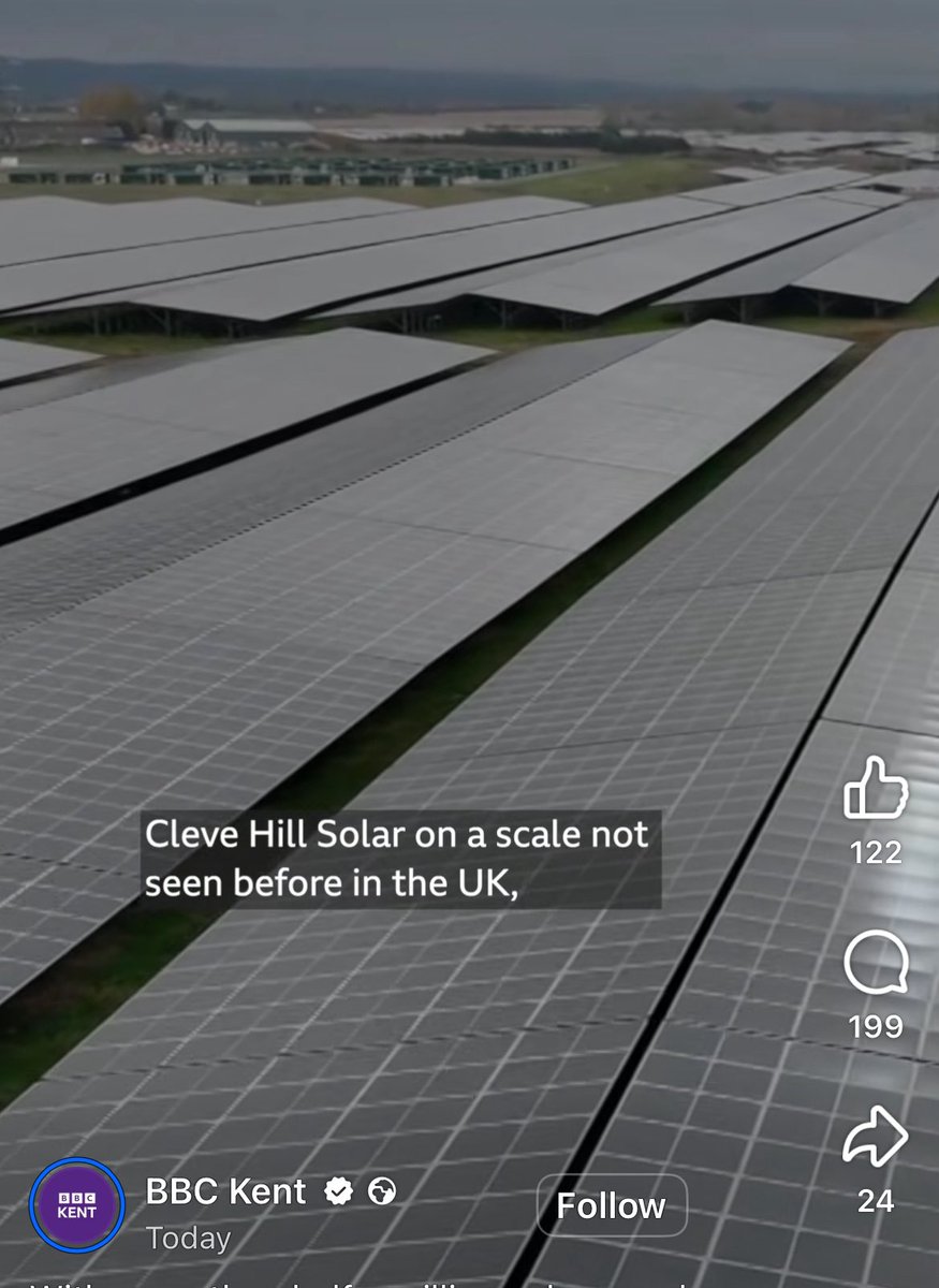 Rosie P 🦇 🦎 🕷️ 🦭 🐌 🍃🌳🚲💧 tweet media