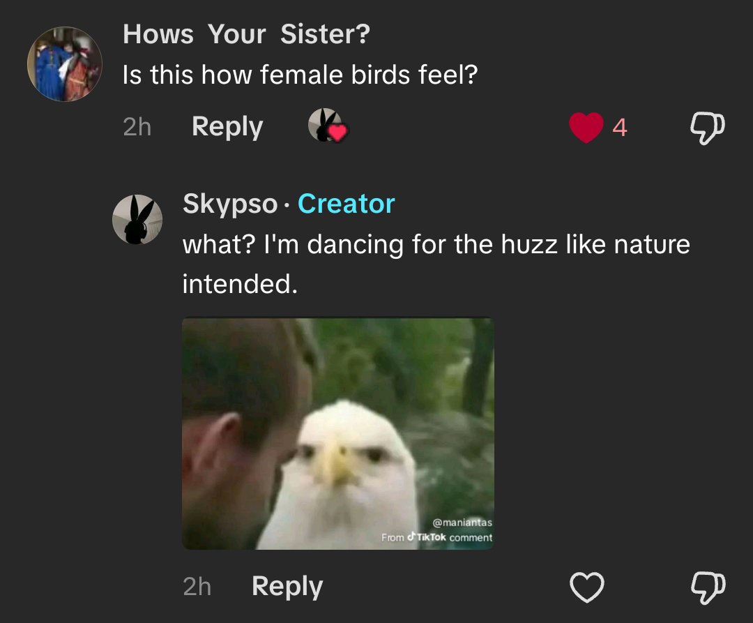 I am a male bird on tiktok at this point