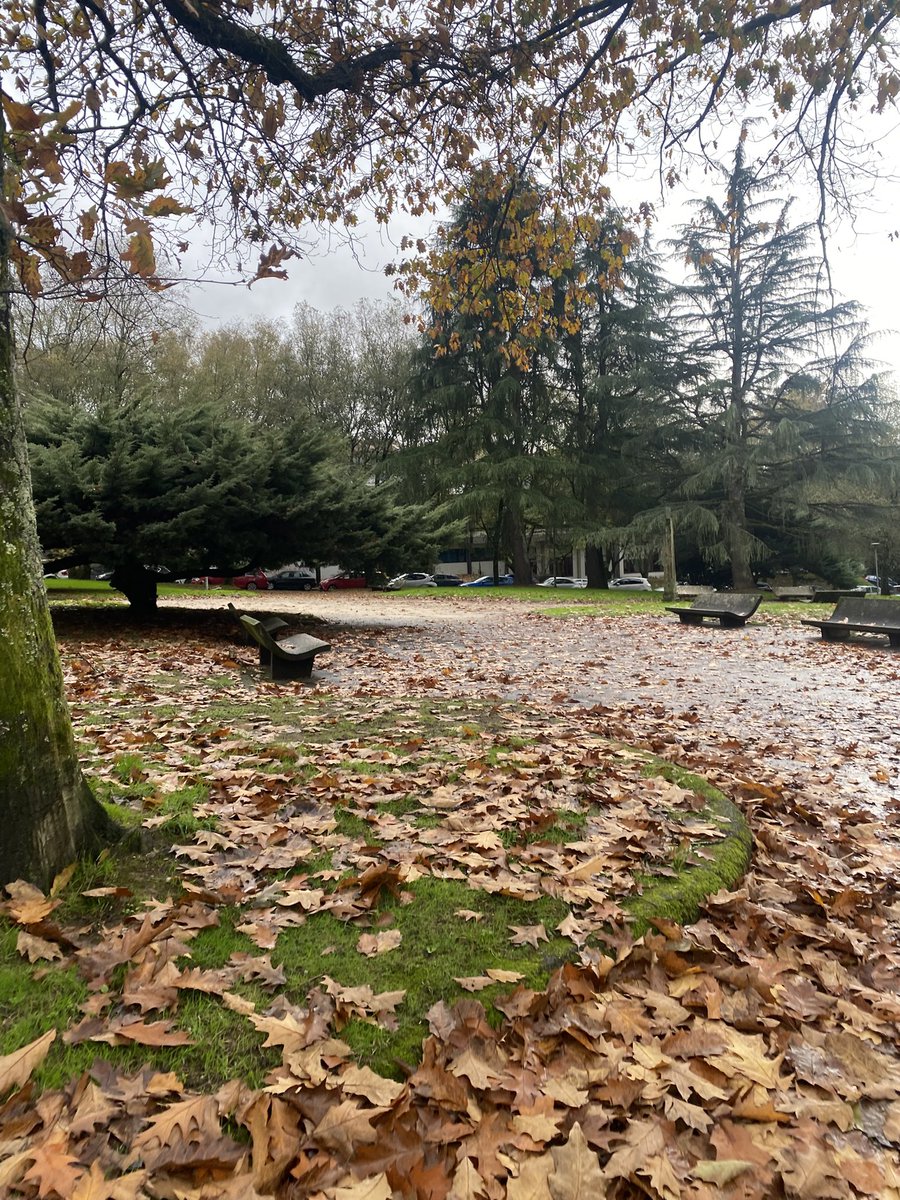 LMariaGallardo's tweet photo. Paisajes de otoño en la Facultad https://t.co/qbXLpn3ssZ