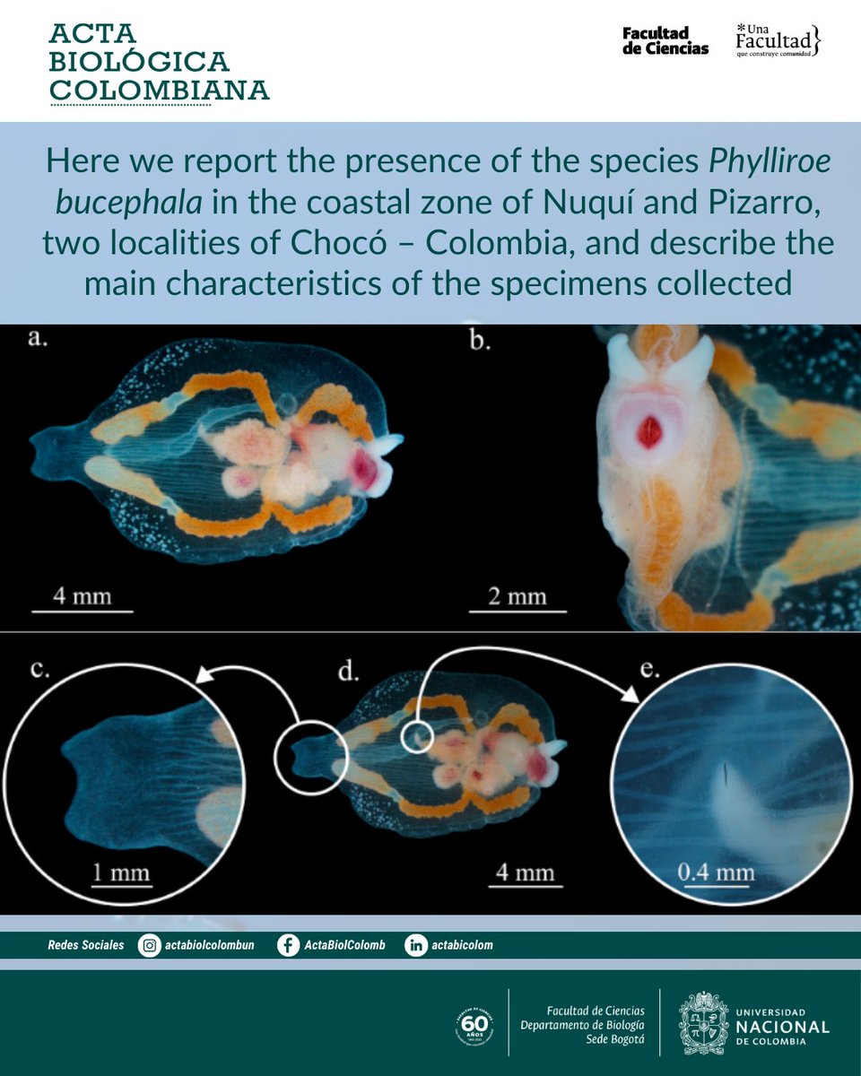Revista Acta Biológica Colombiana UN tweet media