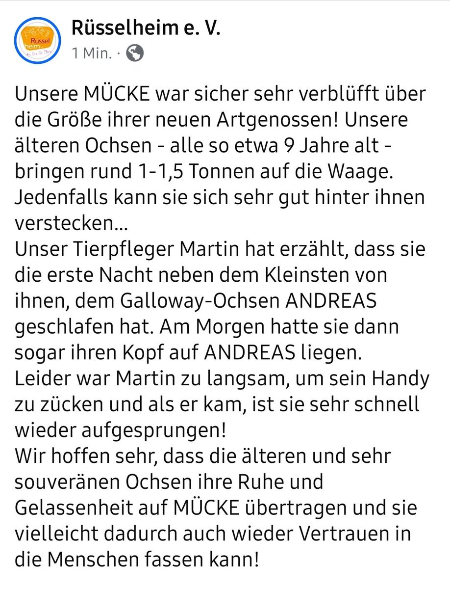 Mücke lebt sich langsam ein. ❤️