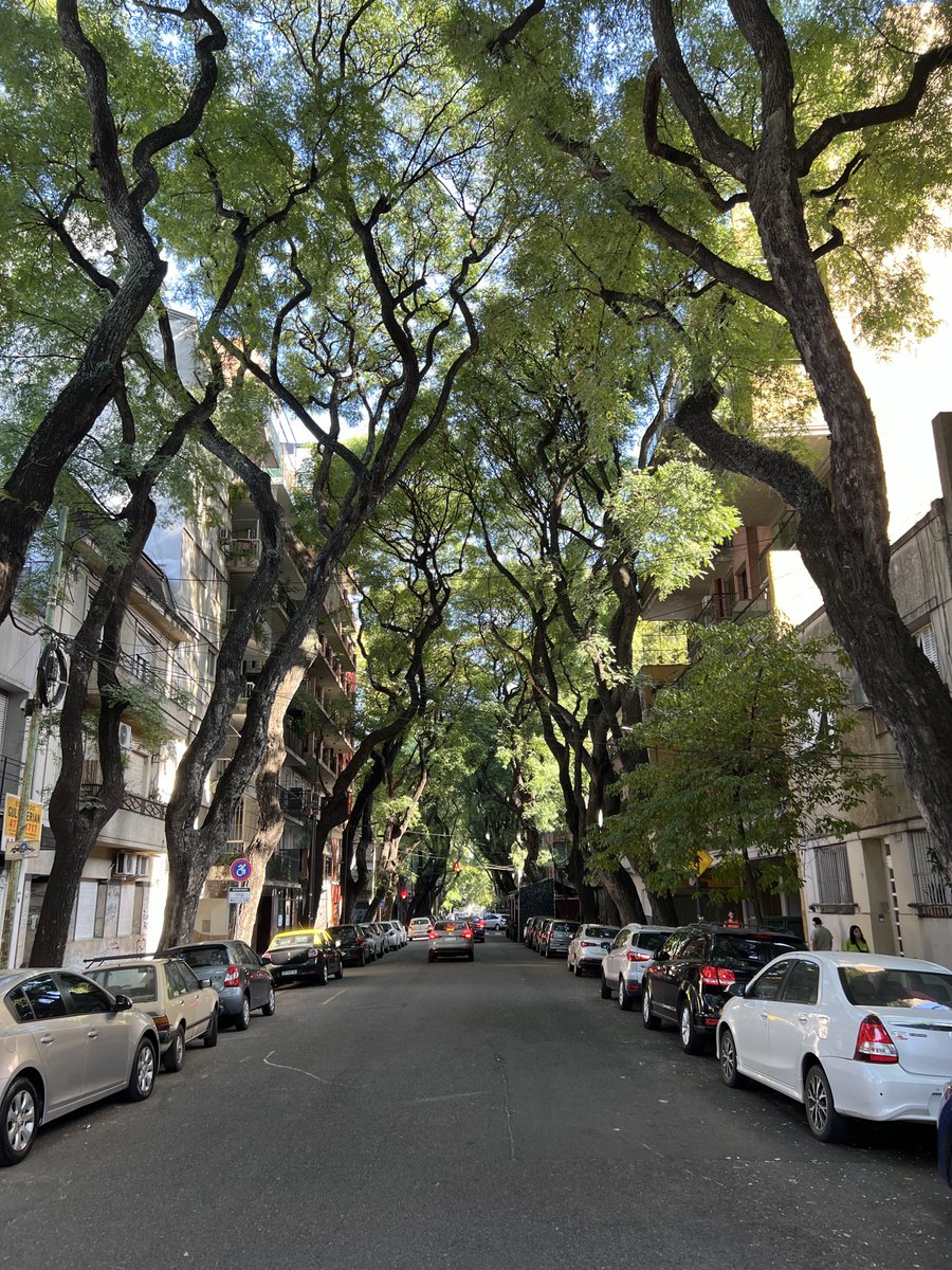 nethan_eth's tweet image. I love Buenos Aires ❤️