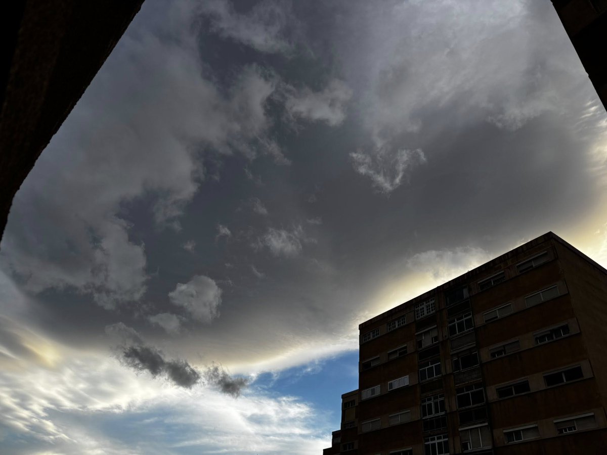 Gustavo Domínguez tweet media