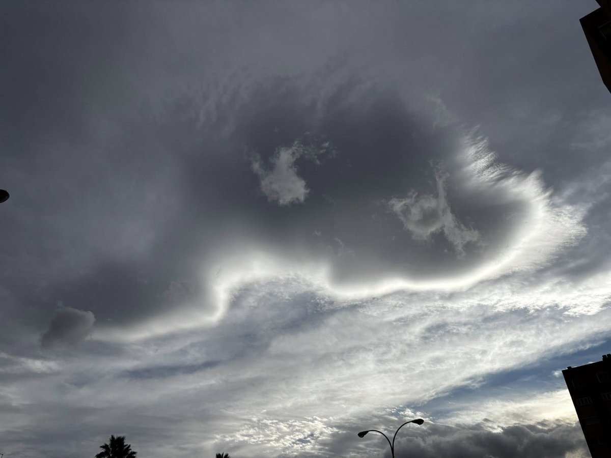 Gustavo Domínguez tweet media