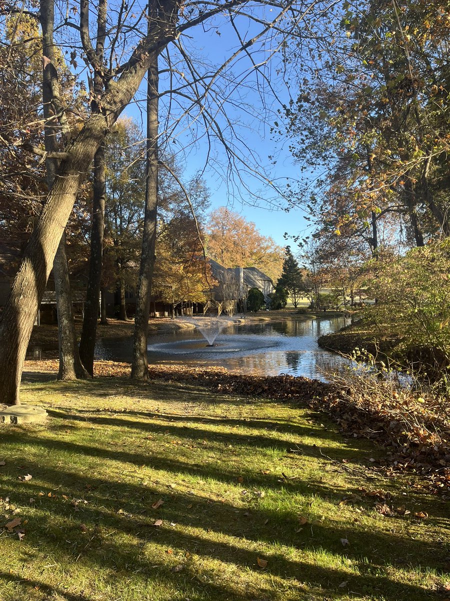 Enjoy your day!! It’s fall y’all… how many steps will you get in today?