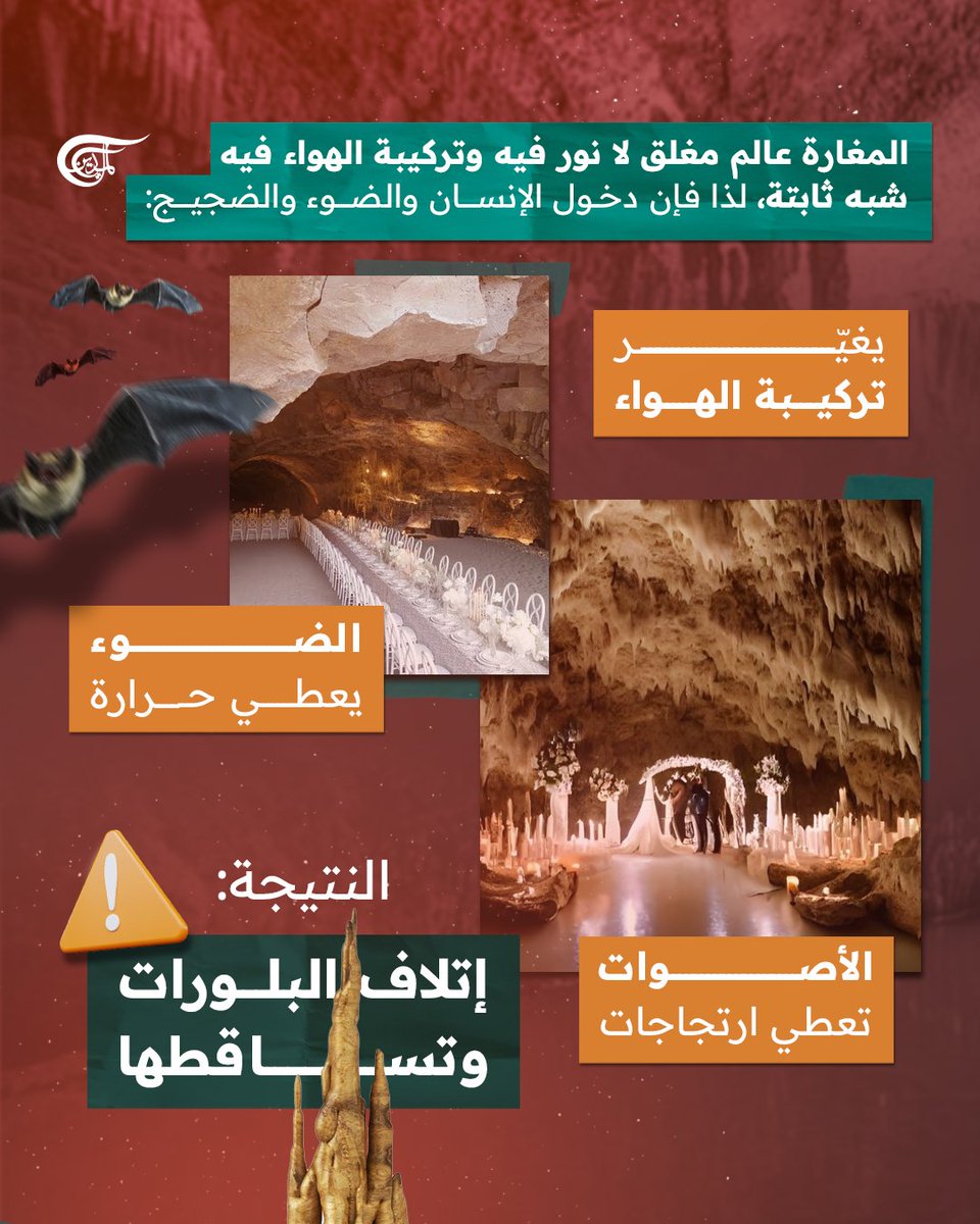 الخبير في علوم المياه الجوفية، سمير زعاطيطي، يوضح لـ"الميادين نت" الآثار السلبية الناجمة عن إقامة حفل الزفاف في مغارة جعيتا👇 

#الميادين  
<a href="/DebianAbdalla/">Abdalla Debian</a>