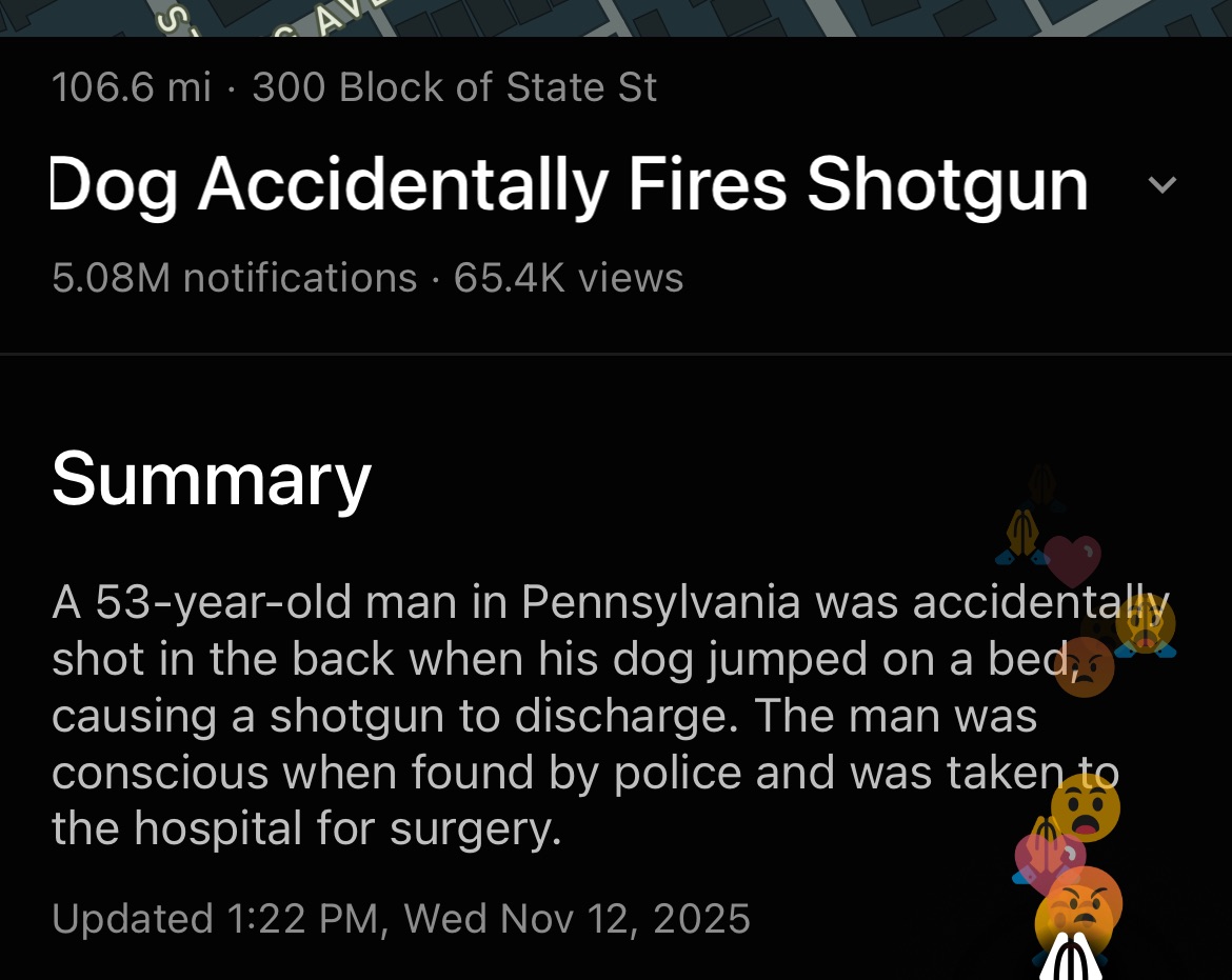 mattruby's tweet image. “The dog ate my homework.” 
“Oh yeah? You won’t believe what MY dog did…”