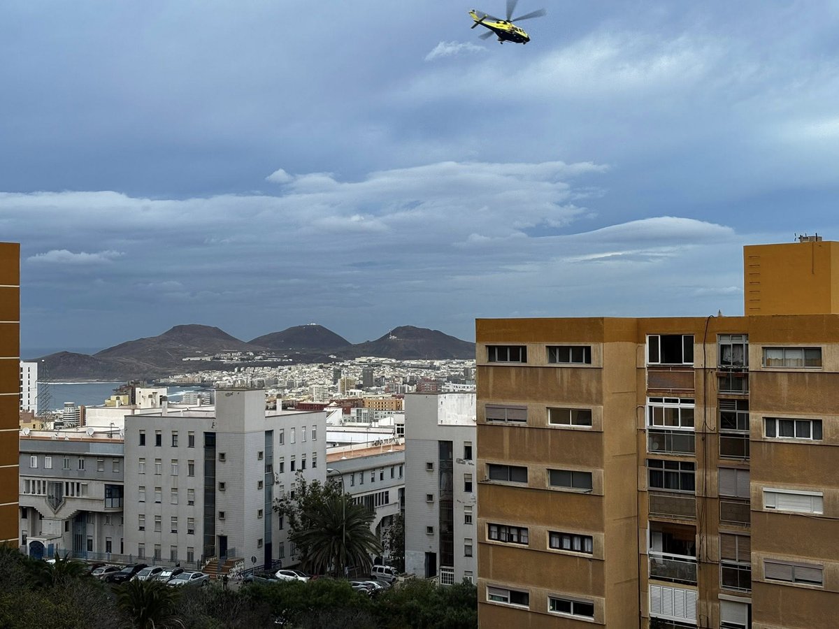 Gustavo Domínguez tweet media