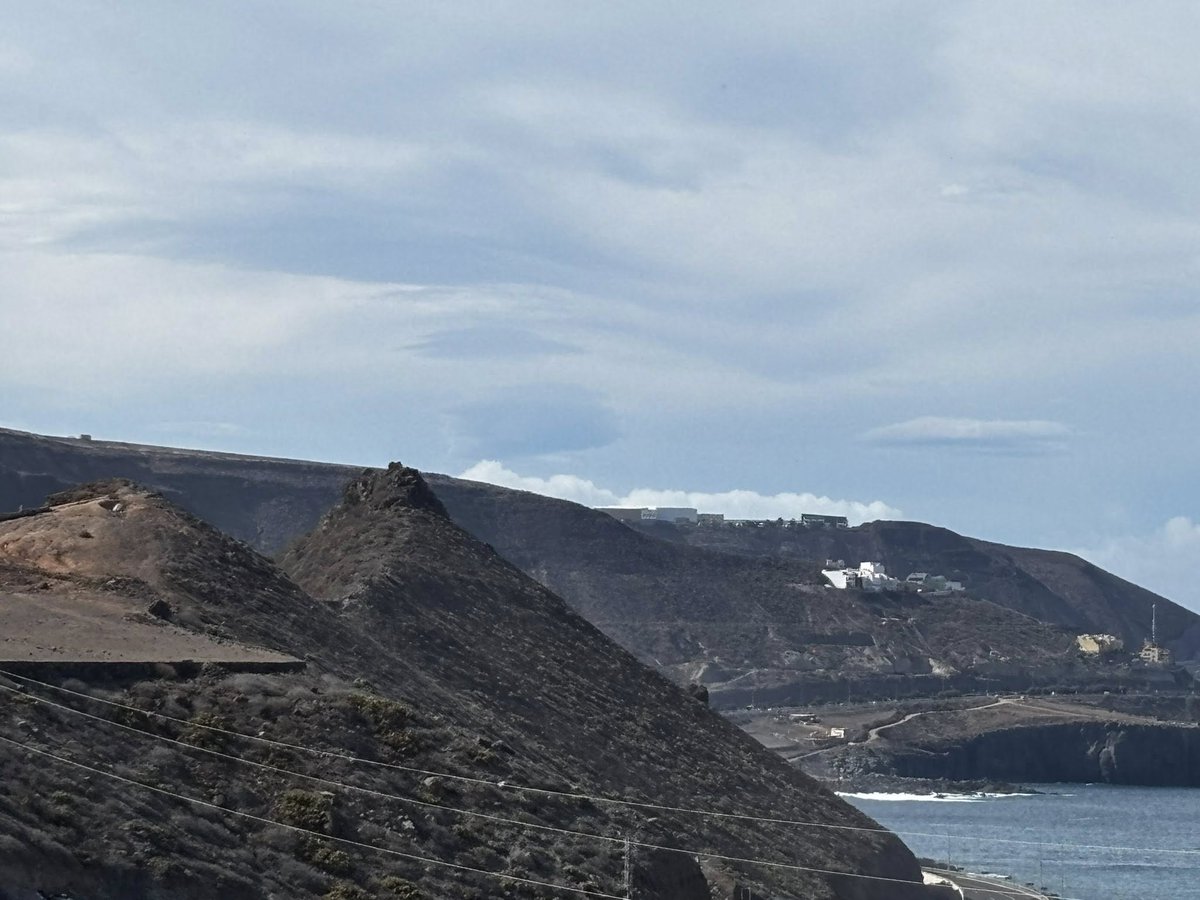 Gustavo Domínguez tweet media