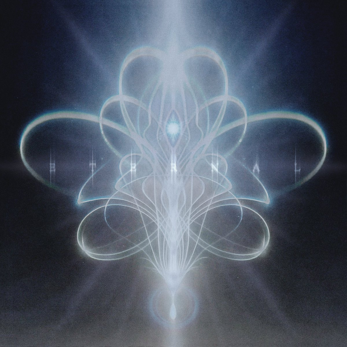 Krewella tweet media