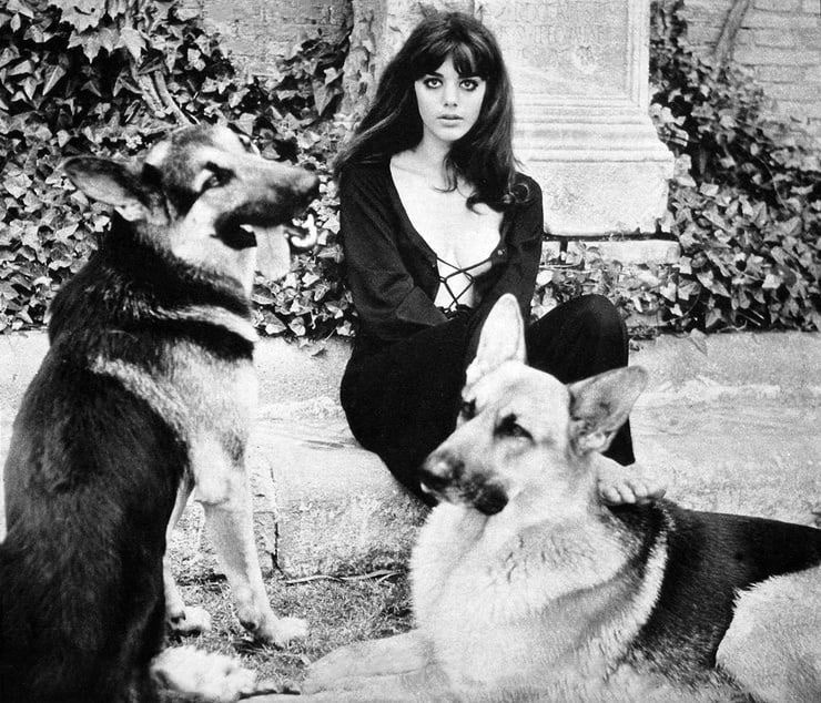 ౨ৎ (@vanyiac) on Twitter photo 