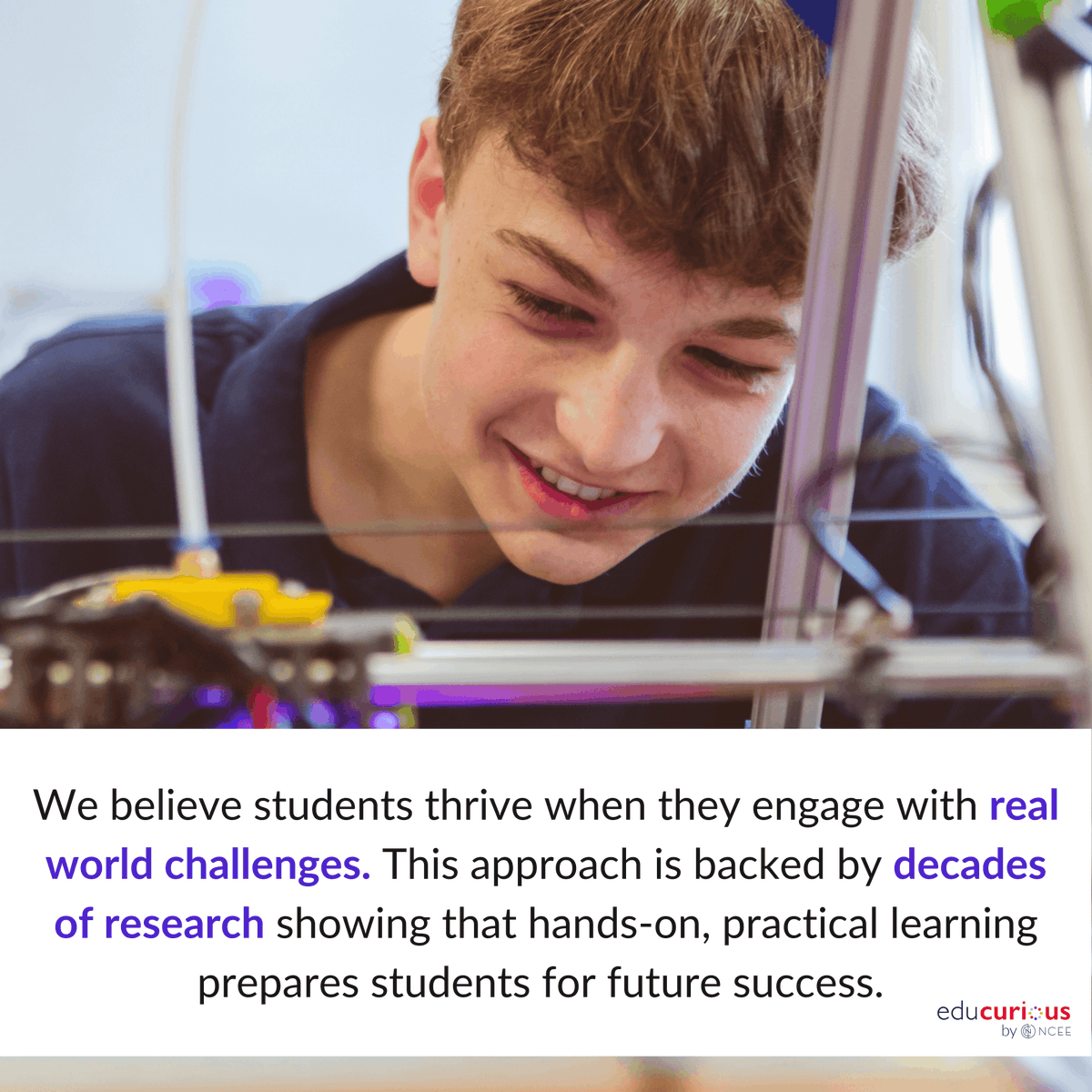 Educurious tweet media