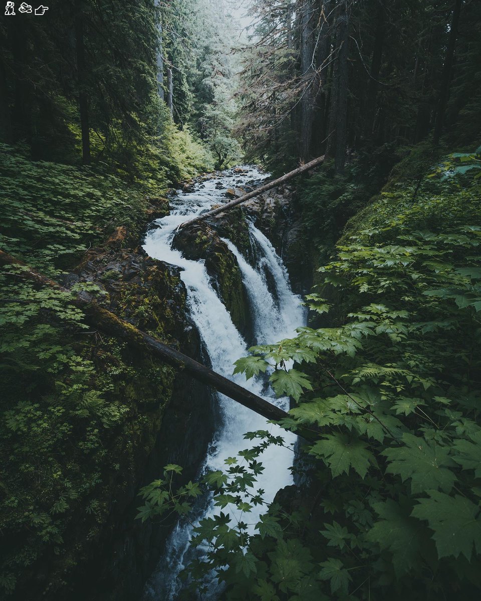 Thinkers change remarkable dreams tomorrow teach lives within♍🍾🤑