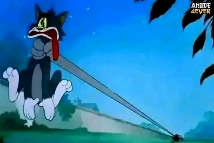 تعال رايح فين، ممنوع تشاهد إباحية طالما تتابع واعي