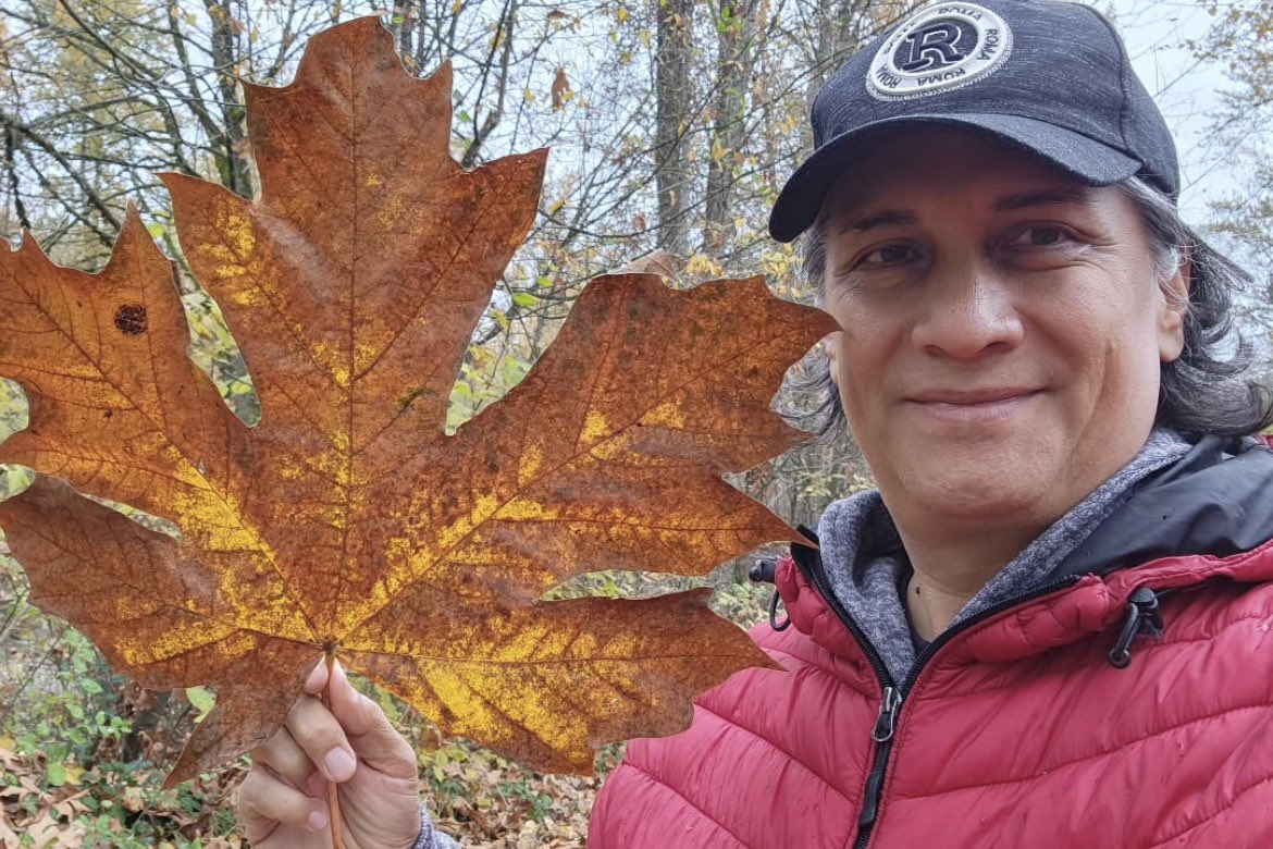 improbablylevi's tweet image. boy. one more leaf. i swear to god boy.