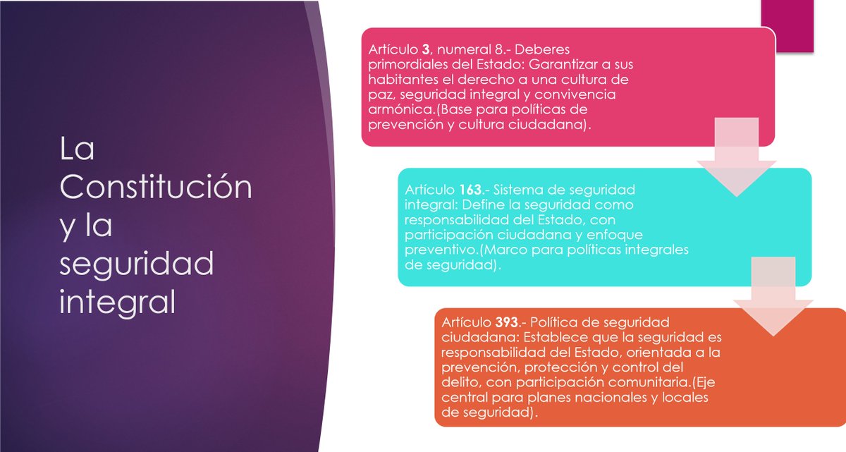 La Constitución tiene un marco suficiente, con principios, responsabilidad estatal y participación ciudadana, para generar política pública en seguridad. El problema no es la Constitución sino la falta de voluntad política, de asignación presupuestaria y de experticia de verdad.