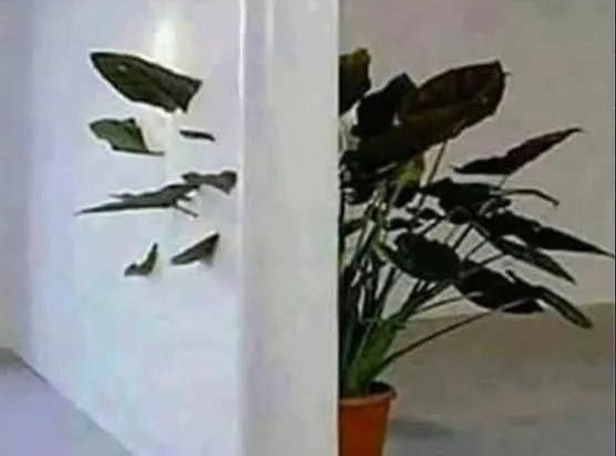 Franz Branntwein™ 🍀 tweet media