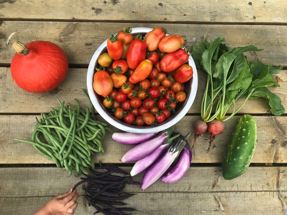 Hearty: On Cooking, Eating, and Growing Food for Pleasure and Subsistence - Discover local author andrea bennett’s passion and curiosity into kitchens, gardens, fields, and perspective on food from seed to table - Fri Nov 14, 7pm at the Library - For info mmerlino@prpl.ca