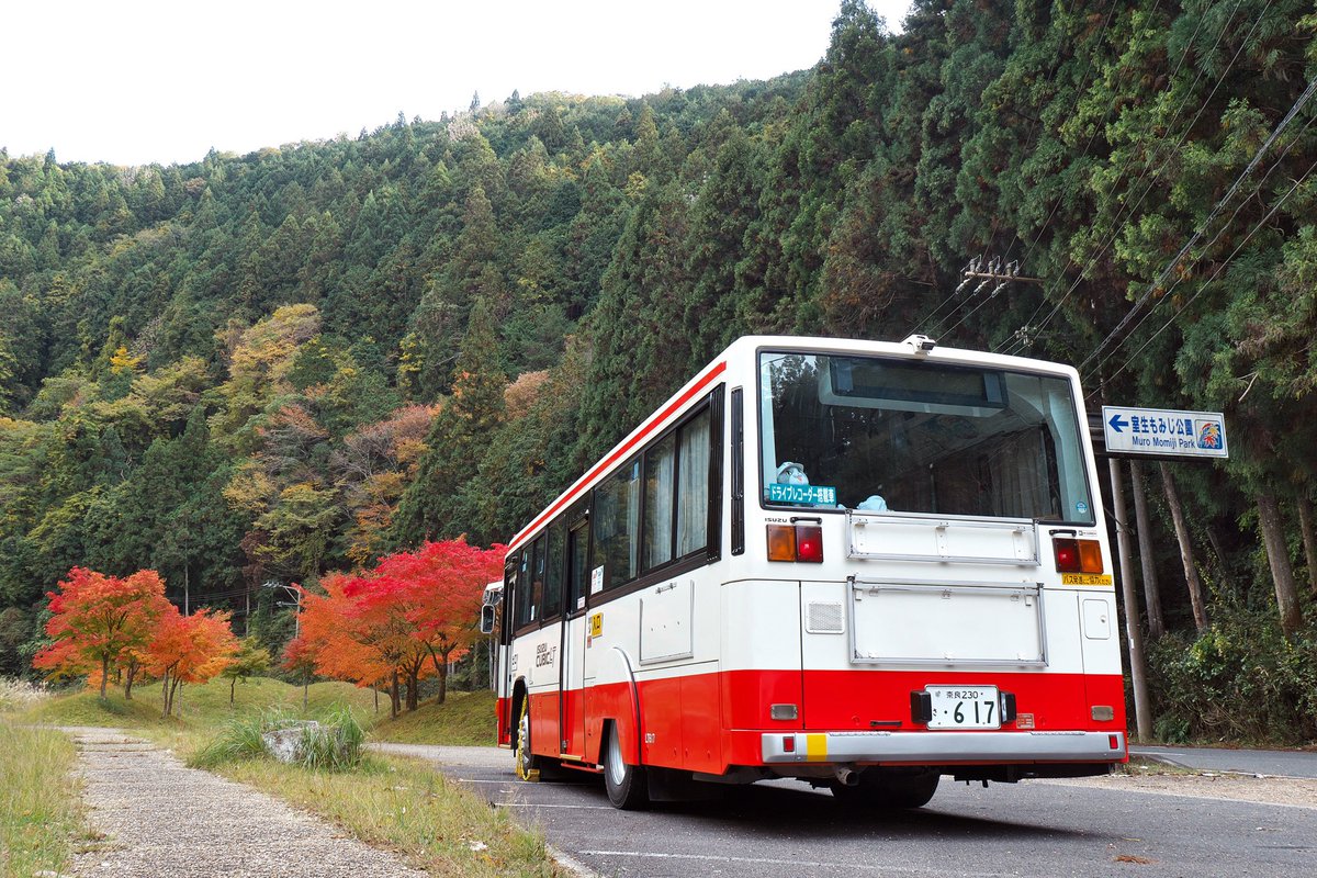 KC_LT233J's tweet photo. おはようございます。
紅葉も見頃ですね。

昨日は秋を見にお出かけしてきました。 https://t.co/VpmgVTgARb