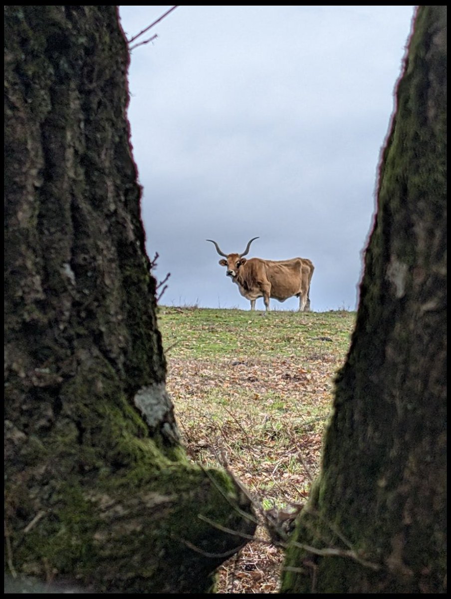 dani90's tweet image. 