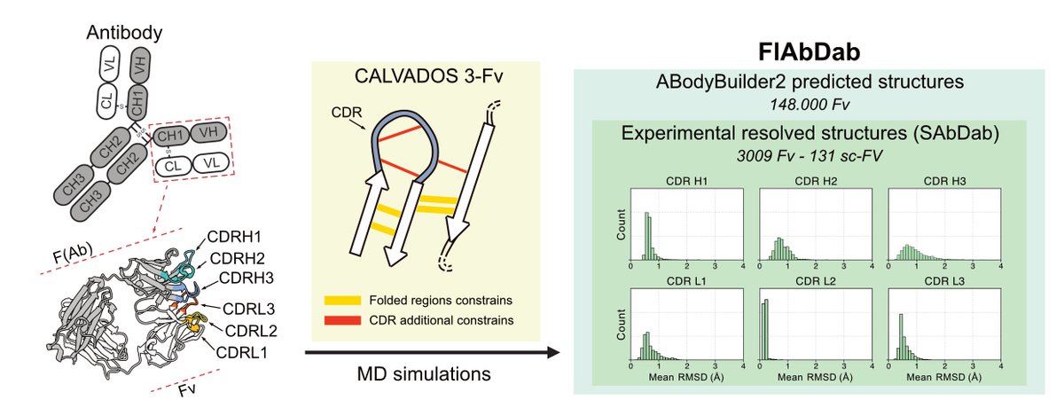 Matteo Cagiada tweet media
