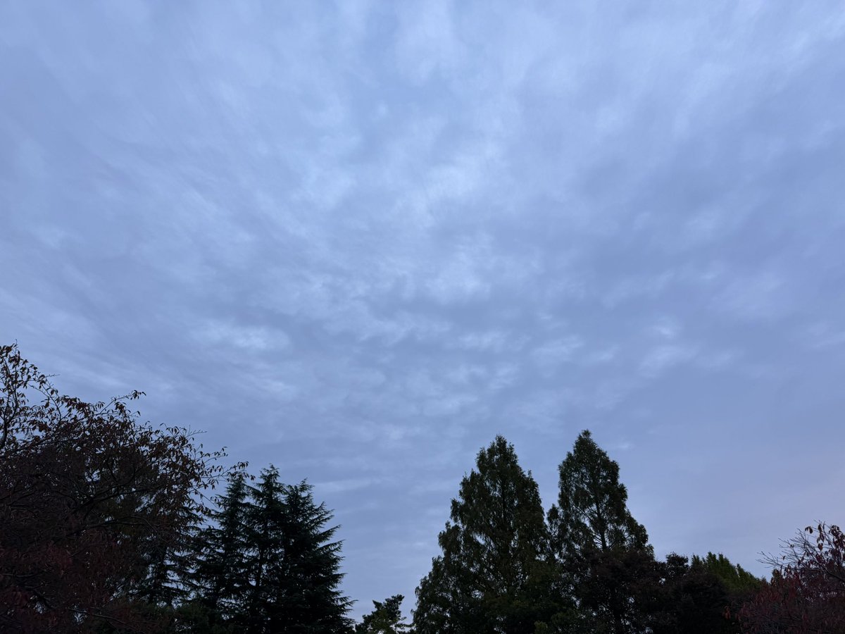 MSP_PiPi_san's tweet image. おはようございます☁️
#イマソラ #ランニング #朝ラン #マラソン