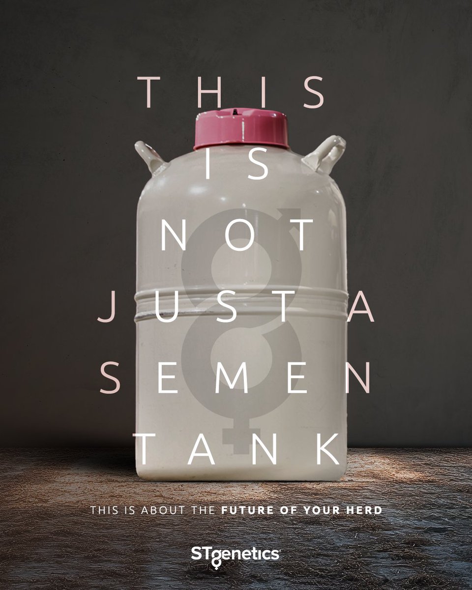 This is not just a semen tank, it’s the easiest ROI you can make today! The sires available from #STgenetics offer a true ROI on heifer creation, making the best genetic gain possible for your dairy. #FutureoftheHerd #WhatsinYourTank #ModernDairy #Ultraplus #Vision+ #BeefAddOn