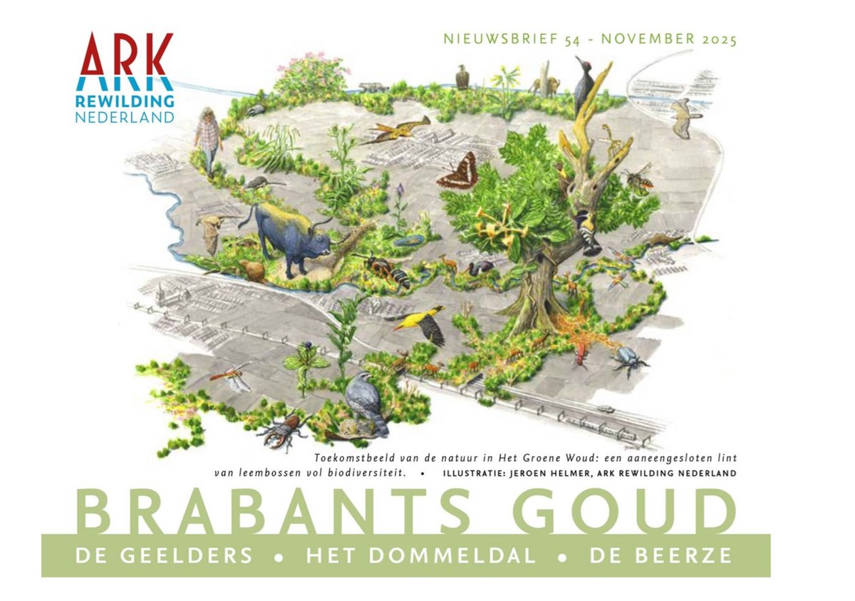 Het Groene Woud tweet media