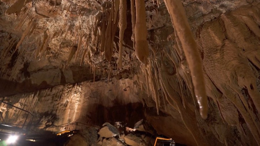La #Cueva de #Mendukilo ha sido reconocida por la Asociación de #CuevasTurísticas Españolas por sus 20 años de servicio y de atención al público y al Mundo #Subterráneo.

🤓Nos lo cuentan en <a href="/NavarraTV/">Navarra Televisión</a>: acortar.link/uIeuVu

#ACTE