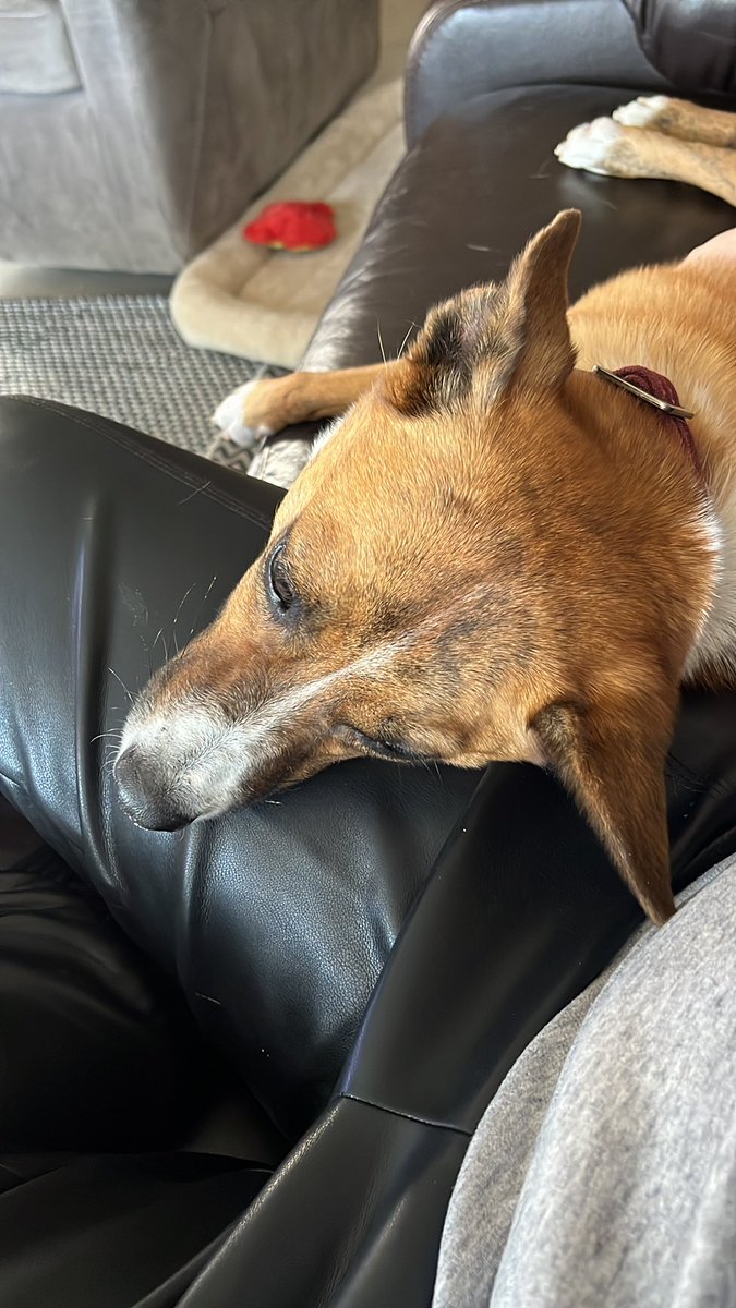 saturno deborando su pizza🏳️🌈 tweet media