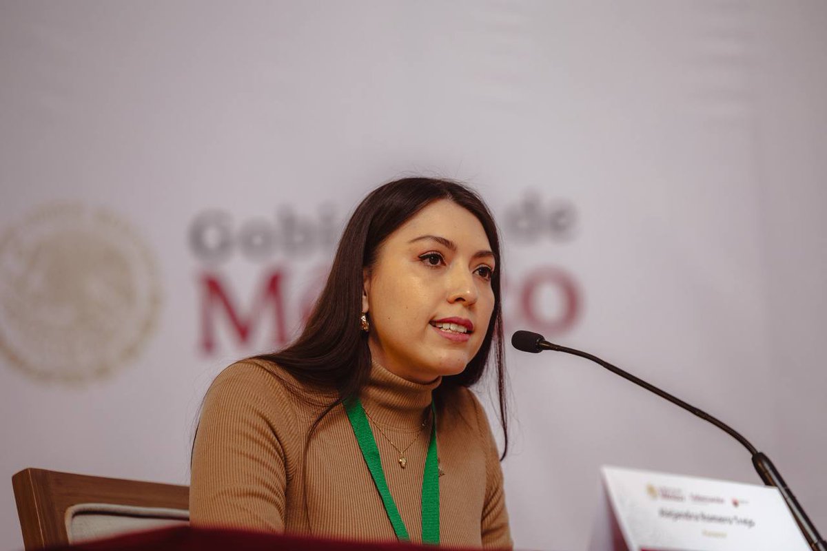 DavidMonrealA's tweet photo. La participación ciudadana es el pilar que fortalece toda democracia. Hoy, llevamos a cabo la Audiencia Pública para la Reforma Electoral; la voz de las y los ciudadanos, así como la de los distintos sectores de la sociedad, resulta esencial para construir acuerdos que reflejen la voluntad colectiva. 

Escuchar, dialogar y proponer son acciones que consolidan un sistema electoral más justo, representativo y cercano a la gente.

Agradezco a la secretaria de Gobernación, @rosaicela_, por presidir esta importante consulta que promueve nuestra presidenta @Claudiashein.