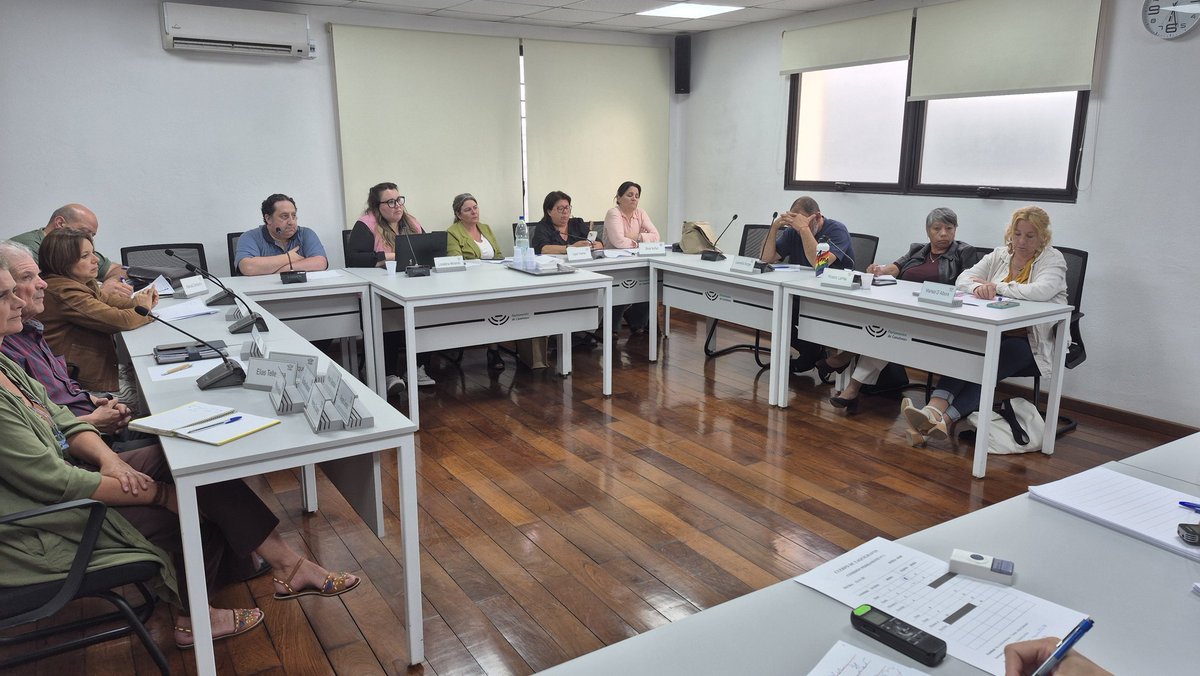 🟢 La Comisión N° 3 Ordenamiento Territorial, Nomenclátor, Vivienda y Medio Ambiente recibe a través de videoconferencia los aportes y preocupaciones de Azul Cardozo,  representante de la campaña internacional Plant Based Treaty.

#LegislativoDepartamental