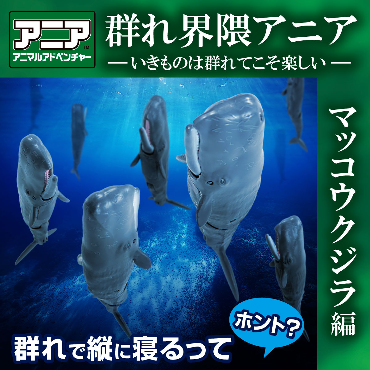 動物たちの生活シリーズ マッコウクジラ ANIA AL-34 Sperm Whale (Floating Ver.) 10 Body Set| ANIA Animal