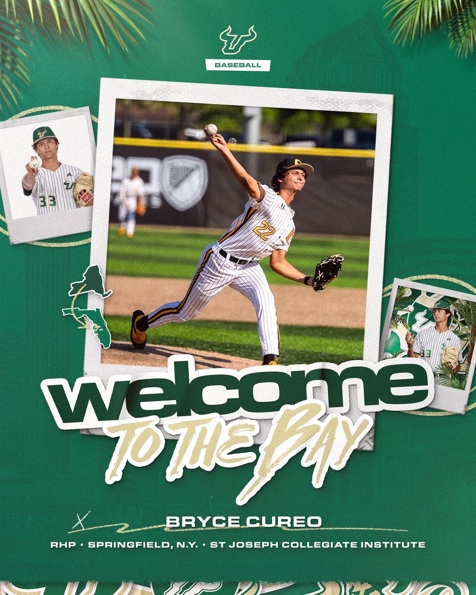 USF Baseball tweet media