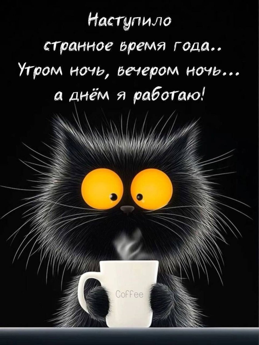 OlgaKnight (@inanotherw) on Twitter photo 