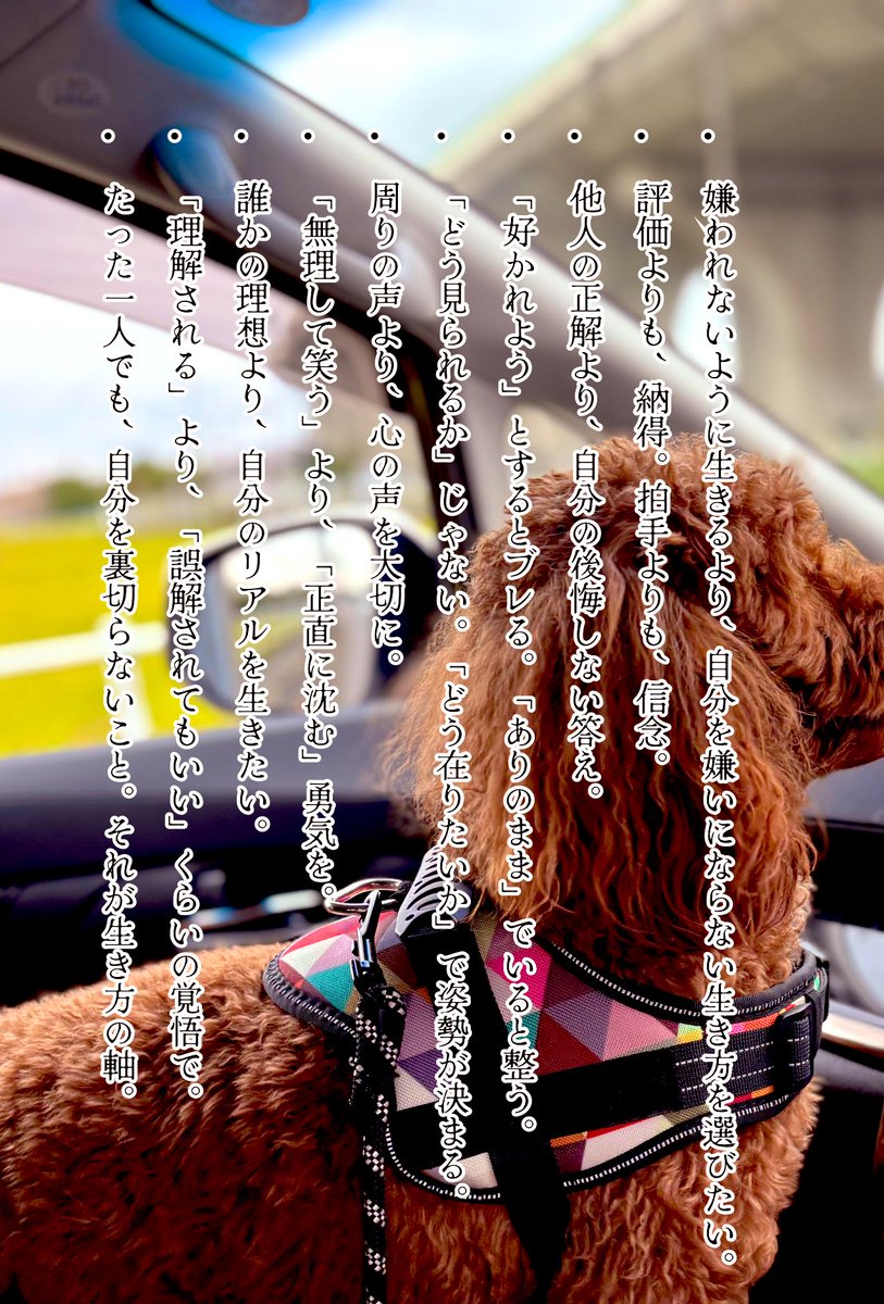 S_yuusuke0326 人目を気にしちゃいけないシステム搭載型一年生！はい！