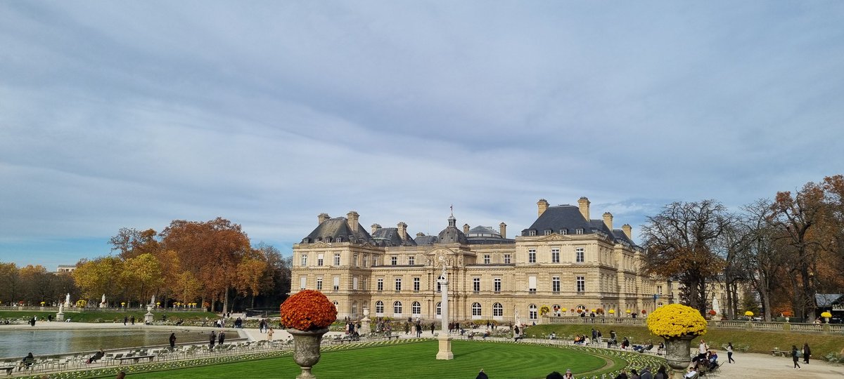 Noela Boki Sogue tweet media