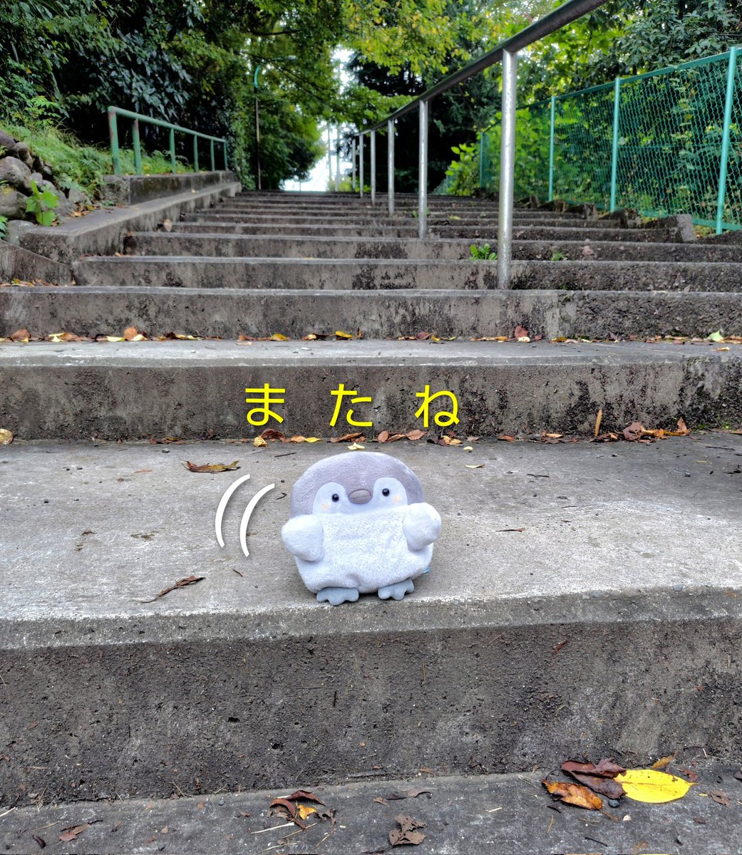 WxAxcs's tweet image. くったりちゃんが売り切れたそうです🐧💨
再販から約１年半ずーっと店番してたのに。
くったりすとさんが増えてきたから
人気急上昇だったのかな？
嬉しいような ちょっと寂しいような⋯🥲
#くったりすと  ⇦使ってもらえると嬉しい☺️