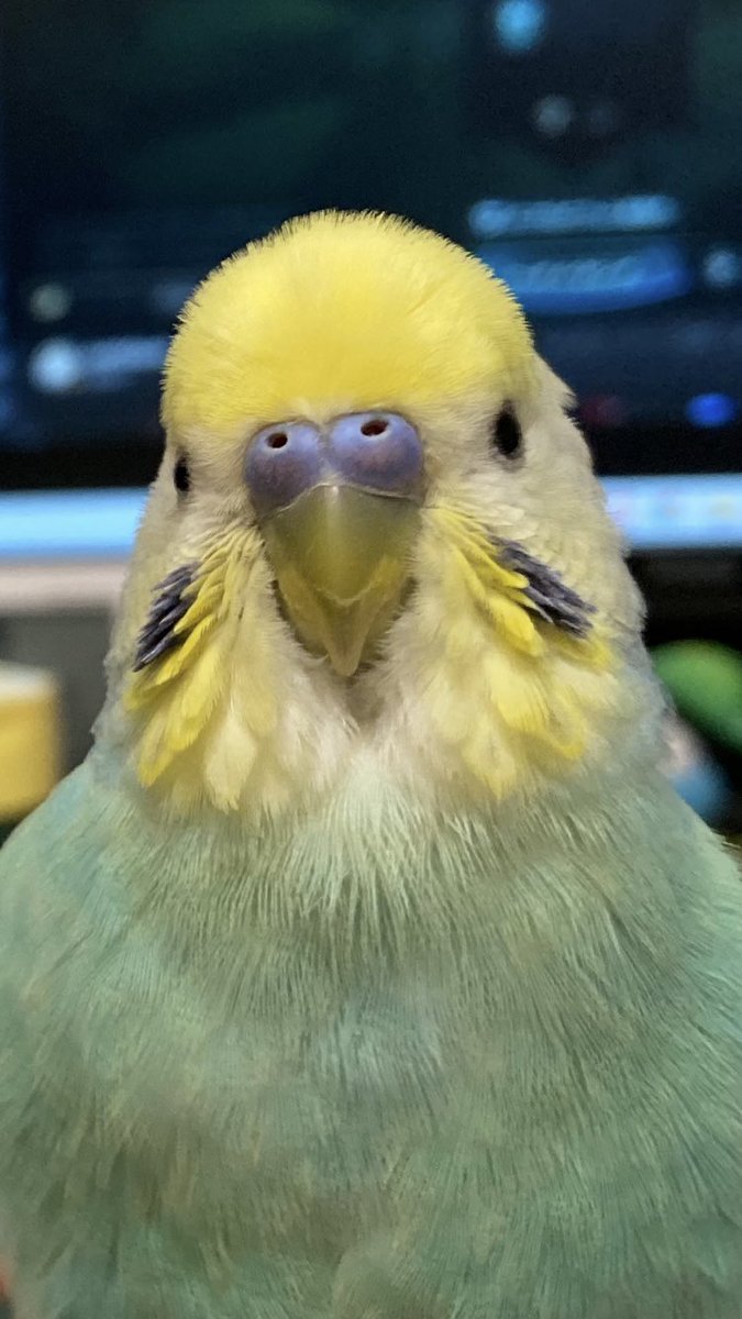 いつも崇め奉ってます